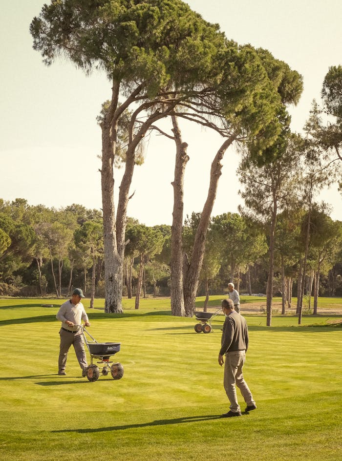 Pexels Photo 14169968