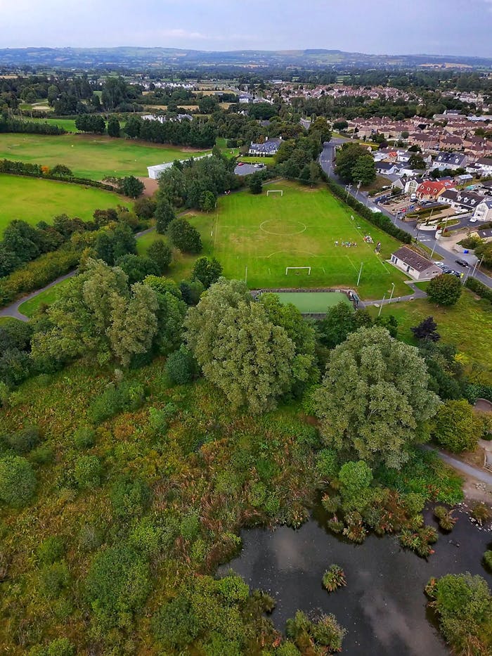 Pexels Photo 33506996