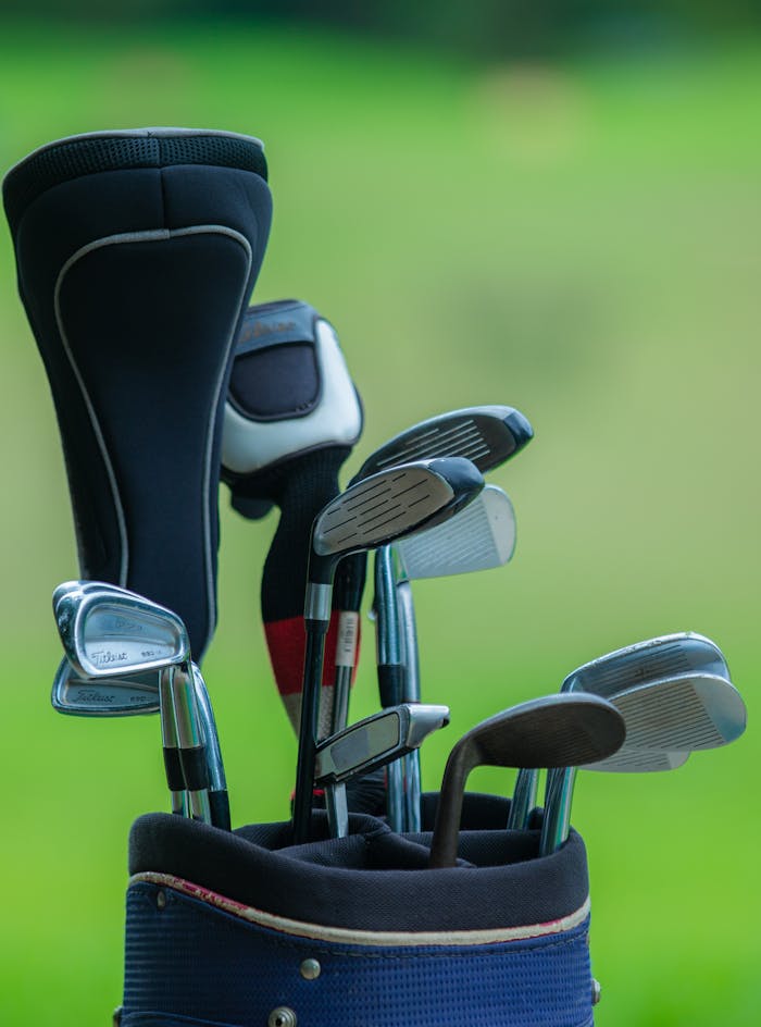 Pexels Photo 35320699