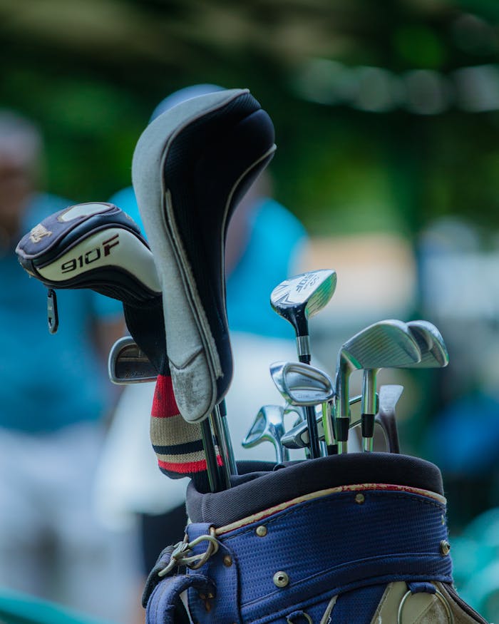 Pexels Photo 35320704