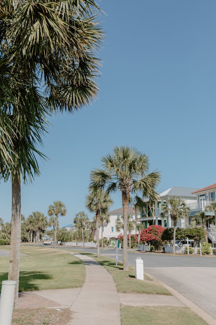 Pexels Photo 8407008